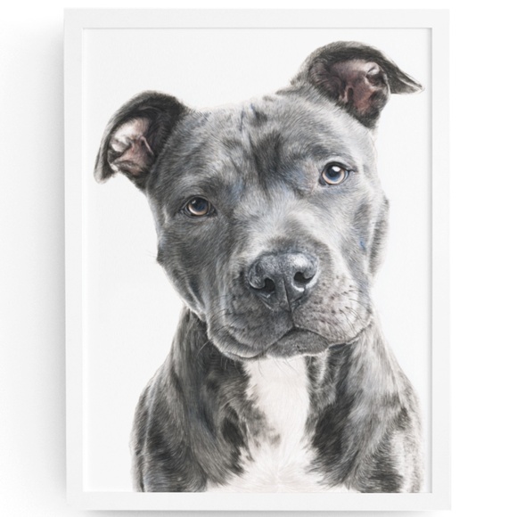 Creative Path Studios Other - American Grey Pit Bull Terrier Watercolor Wall Art Print Poster - Unframed